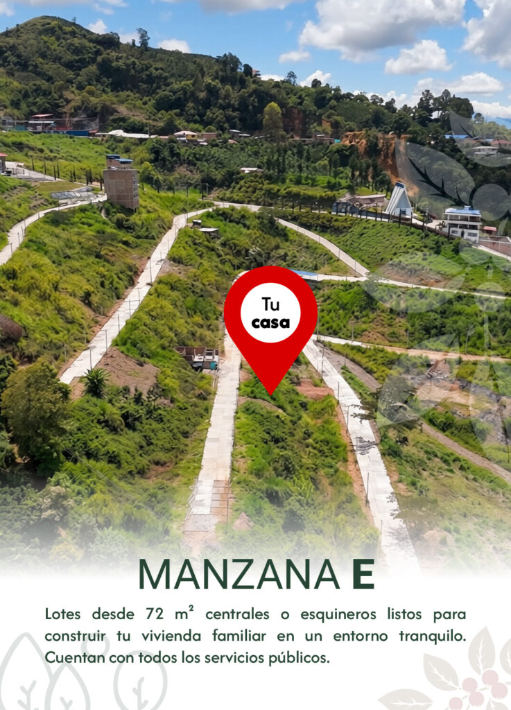 Carrusel Web Bosques_Mesa de trabajo 1 copia 4